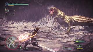 MHW 歴戦イビルジョー 弓 周回風景