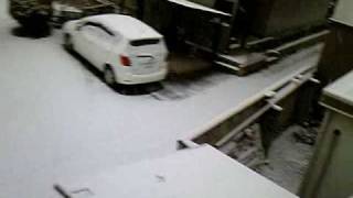 Nevando em Iga 2 ; Snowing in Iga-shi (Mie prefecture)