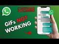 How to Fix WhatsApp GIF Not Working in iPhone 2025?