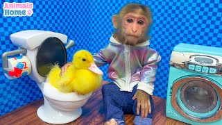 BiBi takes duckling to the toilet so funny