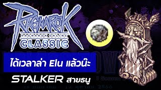 Ragnarok Classic ได้เวลาล่า Elu แล้วน๊ะ stalker สายธนู