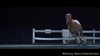 Unbridled: Official Teaser