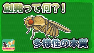 【生物多様性#07】創発って何だ?! ショウジョウバエから学ぶ多様性のごりやく（#すごい進化ラジオ）