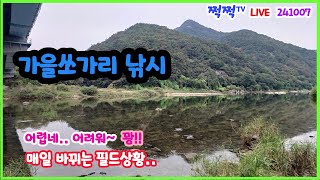 [필드LIVE] 꽝이다!! 가을쏘가리 어렵다!어려워~ 241007