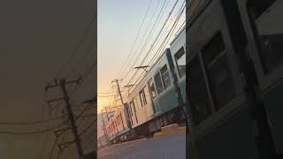 夕焼けと江ノ電　#shorts