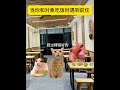 现男友：是我耳朵有问题吗？ 猫meme小剧场 猫meme 万万想不到 意想不到的结局 猫猫剧场 猫meme cat 萌宠