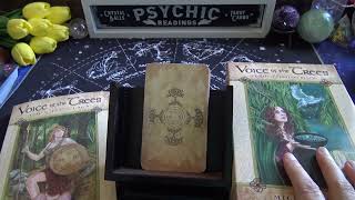 Voice of the Trees - A Celtic Divination Oracle | Full Flip Through