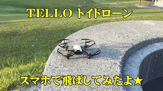 【操作風景】TELLOトイドローンをスマホで飛ばしてみたよ★