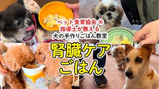 【腎不全犬必見！】腎臓ケアの手作りごはん教室