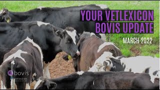 Vetlexicon Bovis Update - March 2022