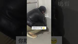 墻角罰站的委屈小狗，網友：這么可愛！它能犯啥錯誤呢！