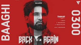 Back Again (New Ep) Baaghi 0300 | Apne E & Hemoroid New Punjabi Song 2023 Latest Punjabi Songs 2023