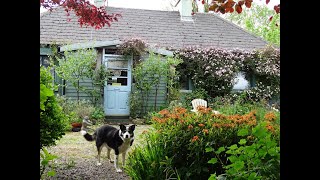 Bealtaine Cottage ~ Life, Hope, Regeneration, Transformation!