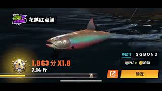 手把手教学钓典藏 #欢乐钓鱼大师#技术流自带bgm  90.81斤收割者