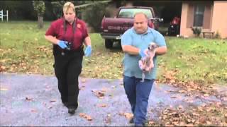The survivor: 16 animals euthanized, one survives