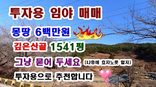 26  투자용임야매매 1564평 몽땅 6백만원