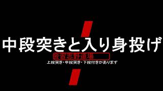 【突き護身術1】もう一つの合気道　Japan Aikido 合気道護身術 【チャンネル登録】お願いします。  力づくには限界があり体力のある者は強い。でも　技には限界がない！！