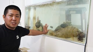 生け簀の大魚を捌いて、釣り餌に仕込む【ハイサイ探偵団】