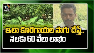 ఇలా కూరగాయల సాగు చేస్తే.. నెలకు 60 వేలు లాభం | Farmer Earn Huge Profits With Vegetable Cultivation