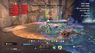 VDSR Warden Heal POV ESO