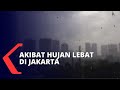 Banjir Hingga Pohon Tumbang Akibat dari Hujan Lebat di Jakarta