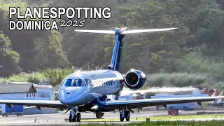 ✈ PLANESPOTTING DOMINICA || Embraer Praetor 600 Landing | ISLAND AVIATION 🇩🇲