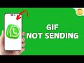 How To Fix GIF Not Sending on WhatsApp