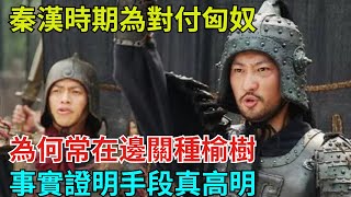 秦漢時期為對付匈奴，為何常在邊關種榆樹？事實證明手段真高明【望古風塵】#歷史#歷史故事#歷史人物#史話館#歷史萬花鏡#奇聞#歷史風雲天下