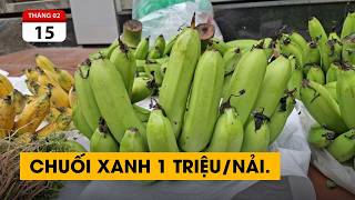 Đào rẻ thối. Chuối xanh 1 triệu/nải. Thần Phật còn bị lừa nữa là người thường.