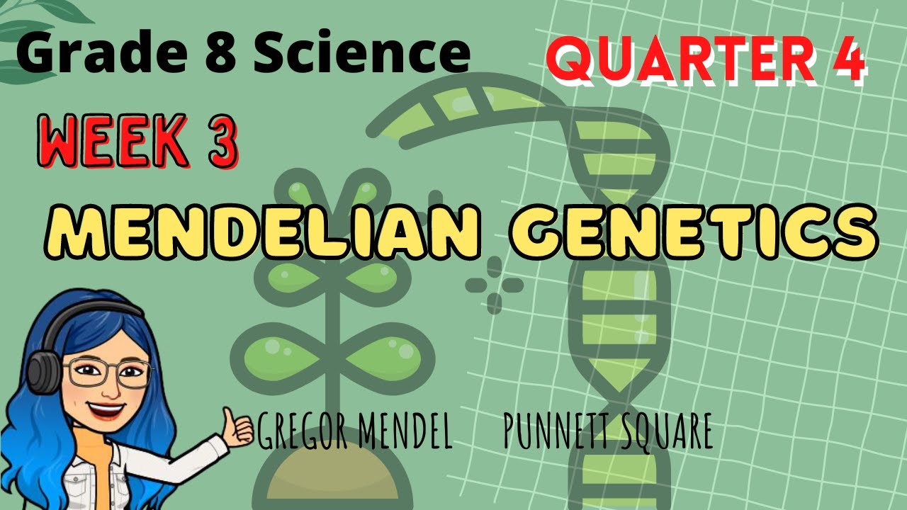 MENDELIAN GENETICS | Grade 8 Science Quarter 4 Week 3 - YouTube