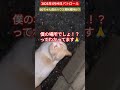 【2025年1月19日パトロール】goちゃん茂みハウス現状維持か？🏠️🐱