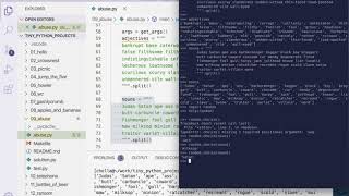 Tiny Python Projects: Ch 9 Pt 5 (Using randomness)