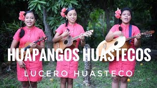 Huapangos Huastecos por el Trío Lucero Huasteco