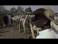 In central Nigeria peace eludes farmers and herders