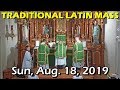 TRADITIONAL LATIN MASS from St. Mary of Pine Bluff - Sun, Aug. 18, 2019