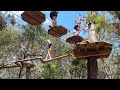 tree surfing nippers at enchanted adventure garden