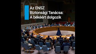 Információs videó a Biztonsági Tanácsról