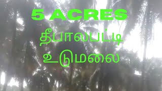 5 acres in Deepalapatti for Sale | Udumalpet | தீபாலபட்டி | உடுமலை | விற்பனைக்கு | #Shorts