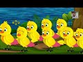 টোনার সাত বউ । bangla cartoon l samimar golpo khotha