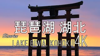 霜寒の湖畔に佇む琵琶湖の白髭神社｜牧野の並木道｜Lake Biwa in Japan, Shirahige Shrine and rows of metasequoia trees in Makino