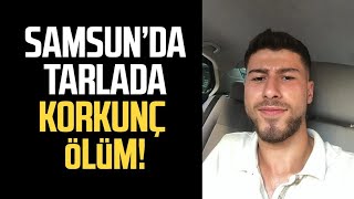 Samsun'da tarlada korkunç ölüm! Yasin Usta hayatını kaybetti