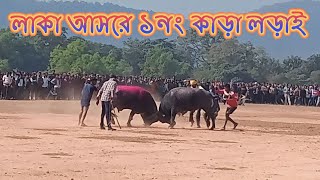 লাকা আসরে ১নং কাড়ার লড়াই!! সুভাষ চন্দ্র মাহাতো বনাম মঙ্গল মাহাতো (ময়লান) !!জাকা জাকি কাড়া লড়াই