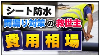 【雨漏り対策】シート防水とは？特徴や費用、施工方法を徹底解説