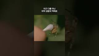 약에 취한 거미가 만든 거미줄…