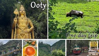 Ooty trip| Ooty elk hill murugan temple | Ooty tourist places | one day trip to Ooty | Lovedale Ooty