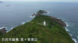 日向市細島 馬ヶ背周辺 20220522