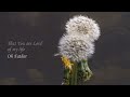 may the words of my mouth lyric video for prayer and worship by chris medway