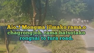 Aio..! Ramaon mongma jilmako chagrongjok. Rama batsotako.