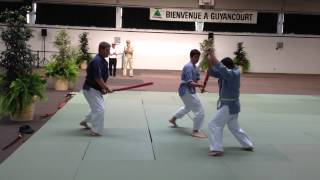 Nihon Budo Wtanabe ryu: Randouri  ken mousse