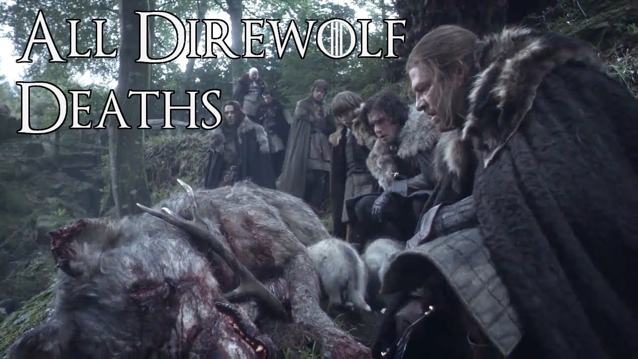 All Direwolf Deaths Direwolves Game Of Thrones Deaths Youtube